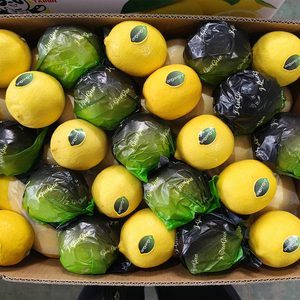 Jus de fruits biologiques Vitamine C de haute qualité Collations saines Ingrédients de cuisine Vente en gros de citron frais - Product Image 5