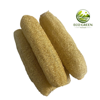 Vases en céramique, éponge de loofah naturelle du Vietnam, LOOFAH écologique, forme naturelle, bruts, DIY, décoration intérieure, taille personnalisable