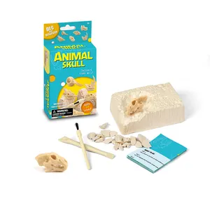 Cpc nouvel arrivage, produit de vente chaude, jouet de crâne d'animal, éléphant, crâne, creuser, collectionner le crâne d'animal pour enfant