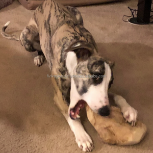 สัตว์เลี้ยงของเล่นไม้กาแฟรากเล็กๆสำหรับลูกสุนัขเคี้ยวสนับสนุนการดูแลช่องปากของเล่นสุนัขที่สนุกปลอดภัยผู้ผลิตจากเวียดนาม ODM MOQ ต่ำ - Product Image 1