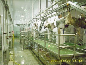 Ligne d'abattage de moutons/Équipement d'abattoir avec moteur, haute productivité, 380V - Marque TENT - Product Image 5
