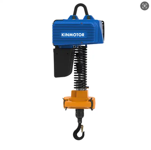 Kinmotor D2B025-F grue en porte-à-faux capacité de charge <span class=keywords><strong>250kg</strong></span> hauteur de levage maximale 2.8m - Product Image 2