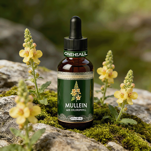 Líquido orgánico Precio al por mayor Apoya la limpieza pulmonar y la salud Extracto de mullein Suplemento para respirar Extracto de hoja de mullein Gota - Product Image 1