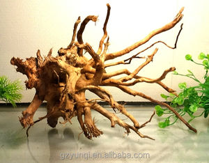 Betrouwbare En Goede Aquacultuur Systemen-Aquaria Aquaria En Drijfhout Wortels - Product Image 6