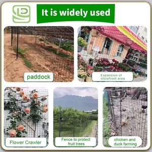 <span class=keywords><strong>Malla</strong></span> de Alambre Recubierta de PVC de 1/2 Pulgada, 48 x 100 Pies, Calibre 23, para Corral de Pollos, Recinto para Aves, Valla de Jardín - Product Image 2