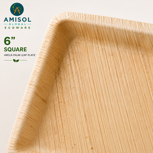 6 Inch Square Areca Palm Leaf <b>Disposable</b> Dessert <b>Plate</b> | Compostable Eco-Friendly Heavy-Duty Catering <b>Plate</b> - Product Image 4