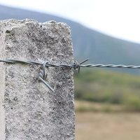 Alambre de Púas Galvanizado Resistente a los Rayos UV de la Marca DuHua, con Púas Afiladas para Seguridad en Granjas y Campos