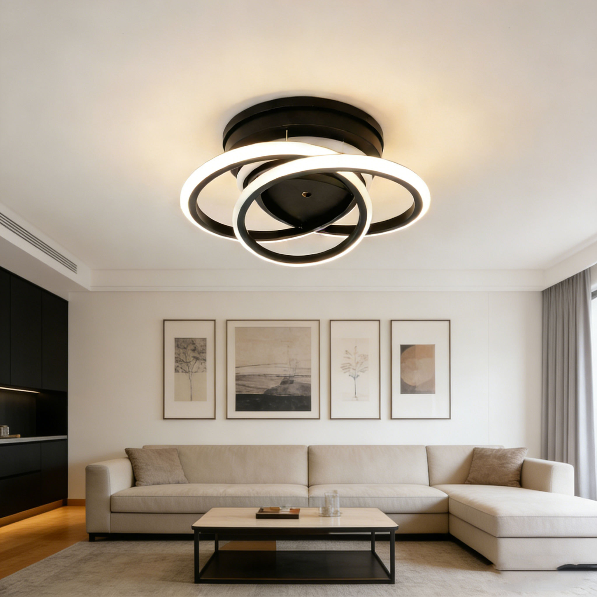 Decorative Ceiling Light 17W Living Room Led Lamps Lighting for the Ceiling 3000K 4000K 6500K Adjustable Home Ceiling Lights