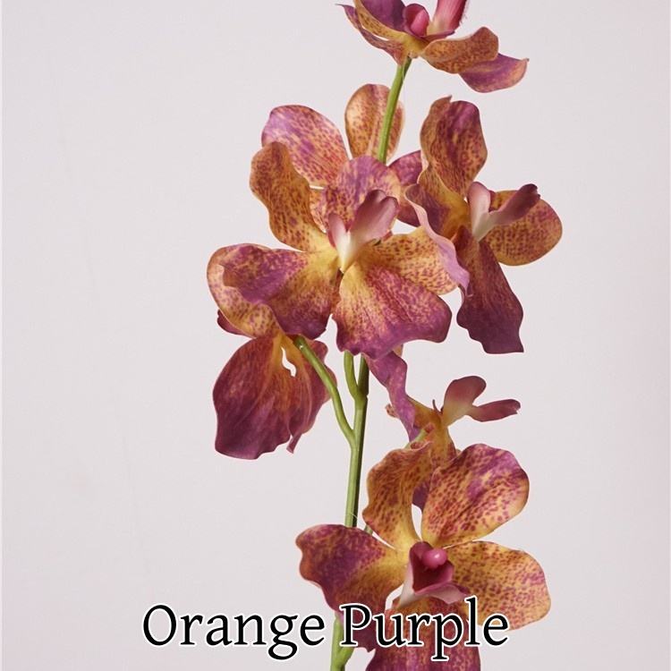 Pourpre Orange