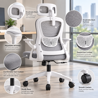Chaise de bureau ergonomique moderne en maille avec support lombaire, base 5 étoiles en acier inoxydable, hauteur réglable pour le travail et le jeu