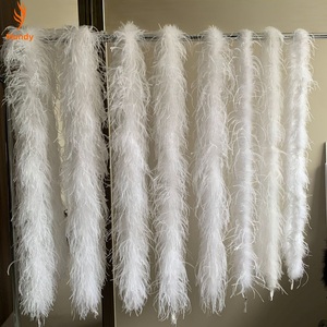 Boa en plumes d'autruche colorées, 2 verges, 1 à 5 plis, lot en vrac pour vêtements DIY et présentoirs de vitrine de fêtes - Product Image 2