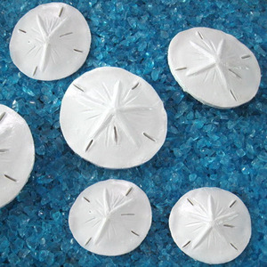 Moneda de mar de resina de 6CM para decoración de Acuario, pecera mediterránea simulada, decoración del hogar, piezas colgantes de adornos de micropaisaje - Product Image 5