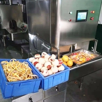 Industriële Mango Zaadverwijderaar Oranje Fruit Schilmachine