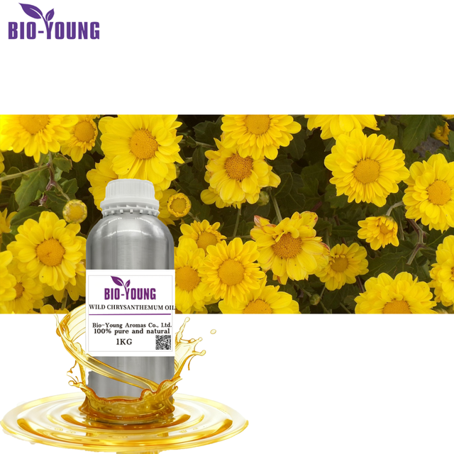 Factory Supply 100% Pure Wild Chrysanthemum Flower Essential Oil Plant Extract Model  Bulk Price for Hair Growth Oil