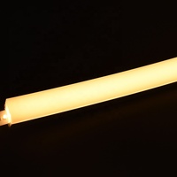 Manchon bicolore en silicone néon 1616 avant trois feux latéraux avec bande de silicone LED largeur 12MM tube silicium led profil