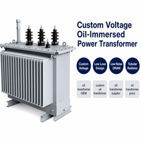 Transformateur immergé dans l'huile à tension personnalisée Wanbo-527, radiateur tubulaire à faible perte, transformateur à huile à enroulement en cuivre, fournisseur OEM