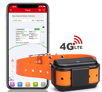 Collier GPS pour chien avec géolocalisation en temps réel, étanche IPX7, en plastique, AGPS, batterie 4000 mAh, 4G, Bluetooth, avec clôture géographique