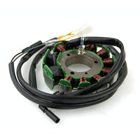 Pièces et accessoires ATV/UTV Jianshe 250cc JS250 Stator Magneto 16 Bobines 250 Loncin Bashan 250CC Pièces ATV Quad