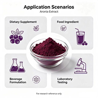 Approvisionnement en gros d'usine : Poudre d'extrait de baie d'aronia fine, extrait de sureau noir pour boissons, aliments et cosmétiques