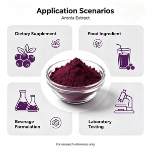 Approvisionnement en gros d'usine : Poudre d'extrait de baie d'aronia fine, extrait de sureau noir pour boissons, aliments et cosmétiques - Product Image 2