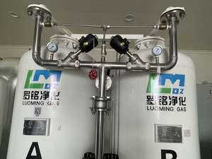 ईकू ऑपरेटिंग रूम और आपातकालीन वार्डों के लिए बड़े अस्पताल चिकित्सा ऑक्सीजन जनरेटर - Product Image 5