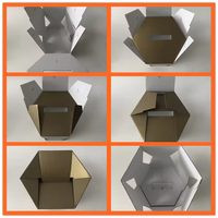 Vente en gros de boîtes personnalisables ondulées pliables auto-dressantes biodégradables pour bouquet de fleurs pour cupcakes plantes vertes logo personnalisé