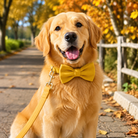 Ensemble collier et laisse pour chien en velours doux, kit de collier réglable pour animaux de compagnie avec nœud papillon, collier confortable pour chiens de petite, moyenne et grande taille