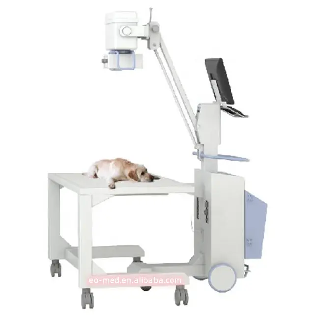 Digitale mobile DR-Radiographie tragbare Veterinär-Röntgenzubehör Röntgenradiographiegerät Preis VXM1010