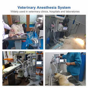 बिल्ली कुत्ते के लिए मोबाइल एल्यूमीनियम मिश्र धातु ट्रॉली पशु चिकित्सा संज्ञाहरण मशीन - Product Image 5