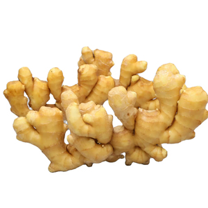Jengibre fresco para exportar alimentos orgánicos 2025 cosecha fresca - Product Image 1