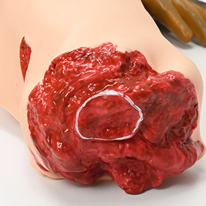 Modelo humano avanzado de enfermería, modelo Bisexual básico combinado - Product Image 6