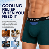 Ropa Interior con Bolsas de Gel Reutilizables, Enfriamiento para Sauna, Recuperación Postoperatoria, Clima Cálido, Transpirable, OEM, Calzoncillos Boxer para Hombre