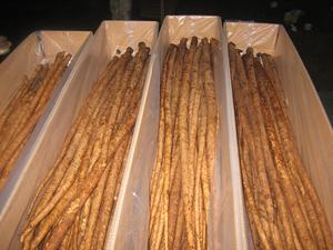 Raiz de bardana fresca chinesa - Product Image 2