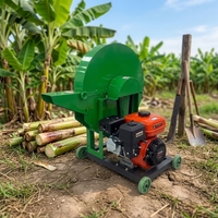 Machine à broyer les bananes à haute productivité, hacheuse de tiges de plantains, équipement de fabrication d'aliments pour bétail alimenté par un moteur électrique