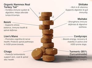 Organic Real Mushroom Extract <b>Soft</b> Chews for <b>Dogs</b> Fast Absorption Immune Support Gut Skin Joint Spine Support Reishi 2.2g/PC All - Product Image 3