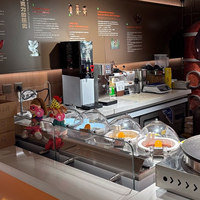 Miles Galaxy V2 Milan Aanrechtmodel IJs- en Sorbetmachine 2 Smaken RVS Energy Star Gecertificeerd Fruit Melk Water