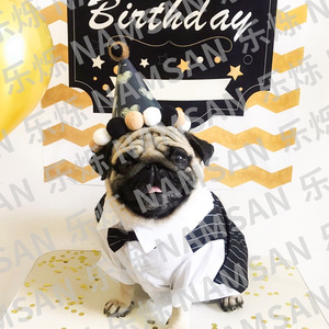 Traje de Boda para Perro NAMSAN, Chaleco a Rayas, Diseño Clásico y Elegante para Perros, Ropa Textil para Mascotas para Todas las Estaciones - Product Image 3