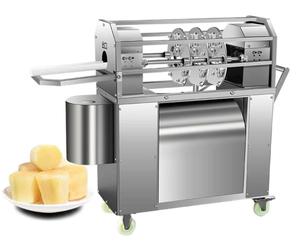 Machine à peler la canne à sucre électrique commerciale pour fruits et légumes - Product Image 2