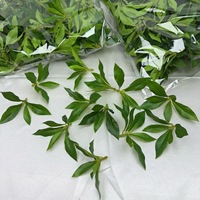 Daun Helleborus Buatan Berkualitas Tinggi dengan Sentuhan Alami untuk Dekorasi Acara