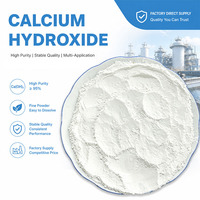 Hydroxyde de Calcium en Poudre Solide Blanche 90% 200-250 Mesh pour le Traitement des Eaux Usées et l'Absorption du Dioxyde de Carbone - Vente en Gros