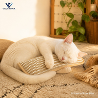 Coussin à l'herbe à chat pour chats, jouet en forme de coussin rempli d'herbe à chat avec tissu rayé tissé, coussin réconfortant à l'herbe à chat pour chats d'intérieur
