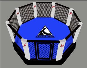 Table de compétition octogone Cage MMA <span class=keywords><strong>UFC</strong></span> octogone ring de boxe thaïlandaise table de cage de boxe cage octogonale ring de boxe - Product Image 3