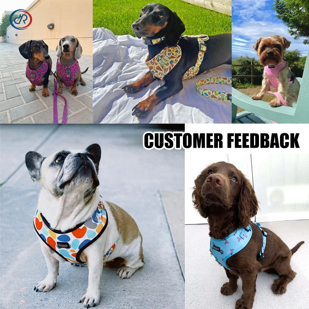 OKKPETS OEM/ODM harness dog bandana bows pet collar dog chest custom logo printing dog harness set