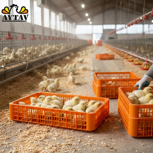 Nuevo cajón de carga tipo H para pollos, módulo portátil de carga de aves de corral PE AYTAV, equipo de manipulación de aves vivas - Product Image 3