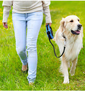 Correa retráctil con logotipo personalizado para perro, conjunto de cuencos con bolsa para caca, 5M, fabricante al por mayor - Product Image 5