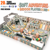 Équipement de terrain de jeu intérieur commercial pour enfants : Piscine à balles, toboggan en spirale, rampe d'escalade, tunnel et balançoire à thème personnalisé