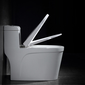 Fabricación de porcelana oferta montados en el piso sanitarios dos piezas <span class=keywords><strong>Precio</strong></span> de tazón baño lavado las mujeres <span class=keywords><strong>wc</strong></span> inodoro hecho en China - Product Image 6