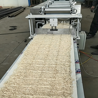 Machine à nouilles à rouleaux en acier inoxydable commerciale, équipement automatique de fabrication de nouilles fraîches pour restaurant, magasin d'alimentation