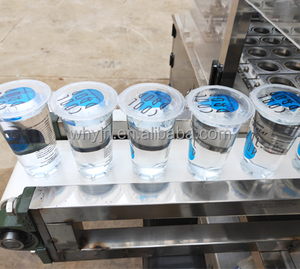 Empaquetado de fábrica totalmente funcional de gran tamaño para la industria de bebidas heladas, máquina de sellado y llenado de bandejas de agua y vasos de plástico, de tamaño grande - Product Image 4