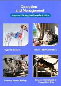 dog Pet <strong>Hyperbaric</strong> Oxygen <strong>Chamber</strong> for Feline Hypoxia Treatment Pain Relief Inflammation - Product Image 6